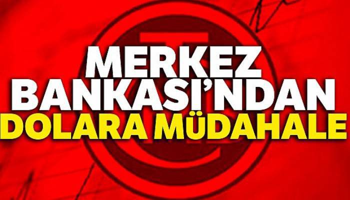 Merkez Bankası'ndan dolara müdahale