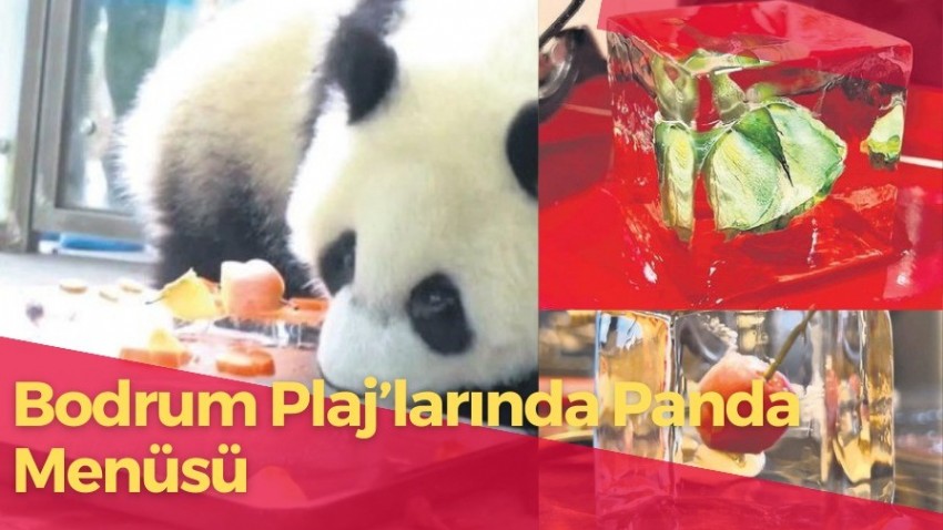 Bodrum Plajlarında 'Panda Menüsü' 
