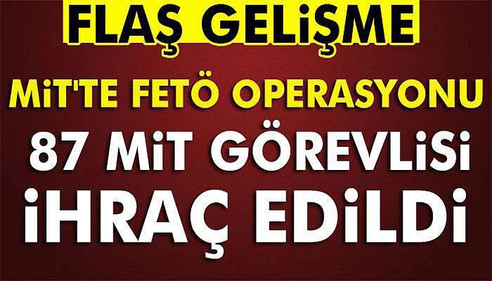 MİT'te FETÖ operasyonu