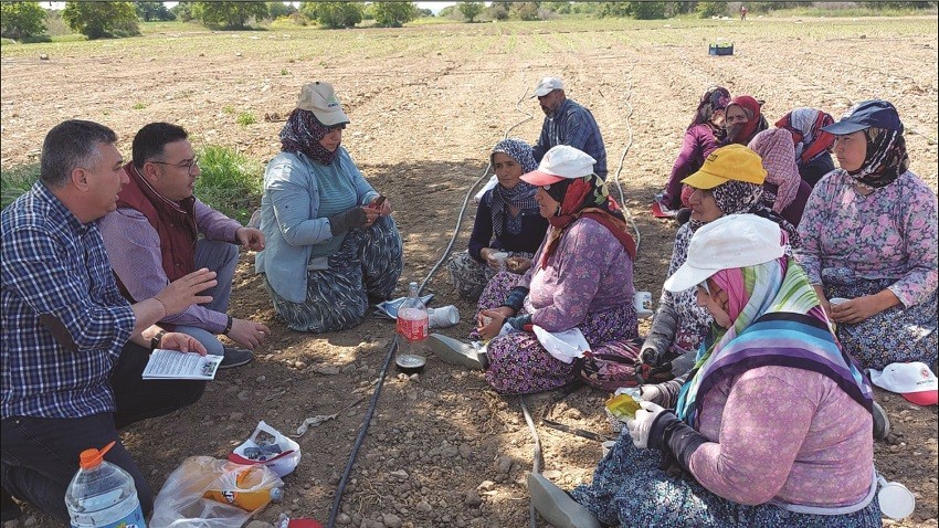 EMEKÇİLERİN BAYRAMINI TARLADA KUTLADI