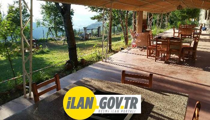 DOĞANKAYA C TİPİ MESİRE YERİ KİRAYA VERİLECEK