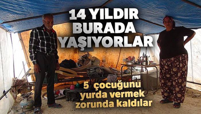 14 yıldır naylon çadırda yaşayan aile 5 çocuğunu Çocuk Esirgeme Kurumuna verdi