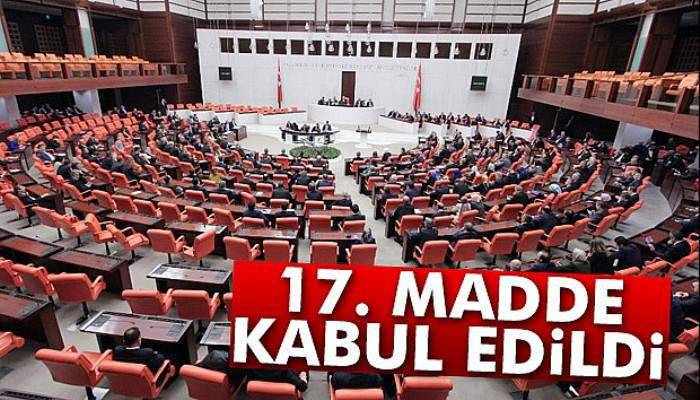 17. madde 342 oyla kabul edildi