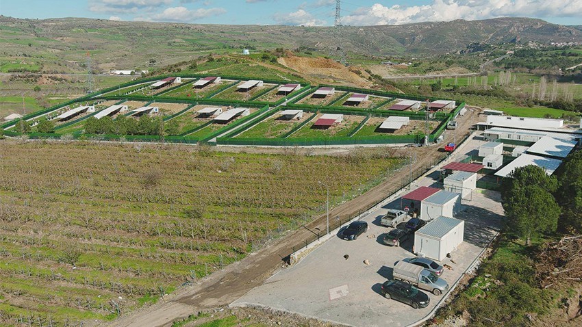 Sahipsiz Hayvan Çalışmaları Hedefi Aştı