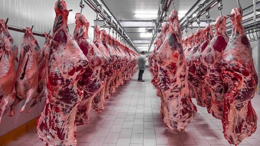 Kırmızı Et Üretimi Geçen Yıl Rekor Artışla Yükseldi