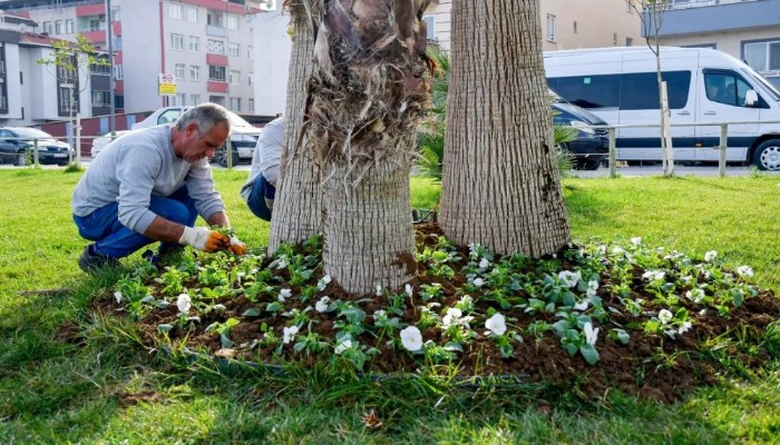  Kış Ortasında Bahar Bahçesine Dönüştü!