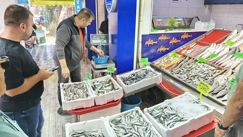 Çanakkale Balıkhanesi’nde Taze Balıklar İlgi Görüyor