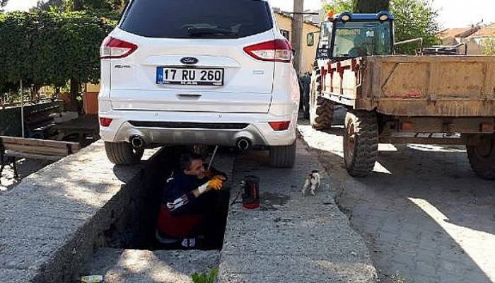 Otomobilin tekerlek boşluğa giren yavru kediyi itfaiye kurtardı