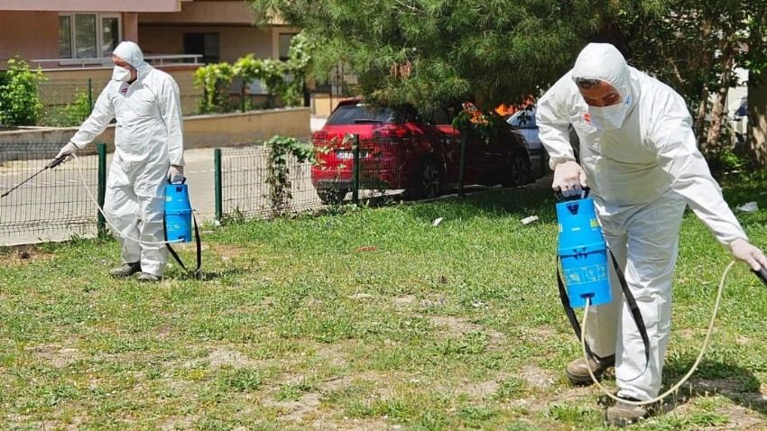 Kepez Belediyesi Sağlık ve Çevre Bilincini Arttırıyor: Kene ve Pire İlaçlama Çalışmaları Devam Ediyor