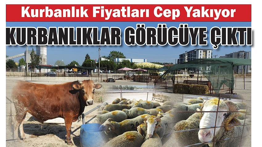 KURBANLIKLAR GÖRÜCÜYE ÇIKTI