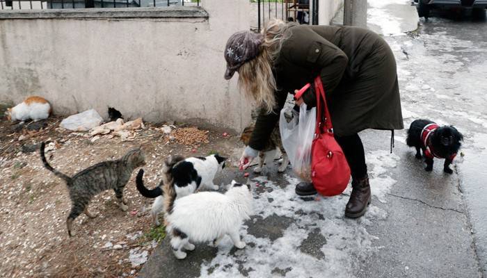 Bere ve çanta örerek sokak hayvanlarını besliyor