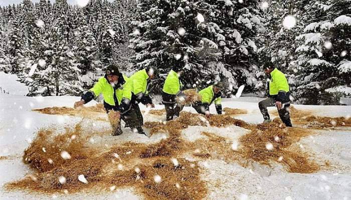  180 ton yem bırakıldı