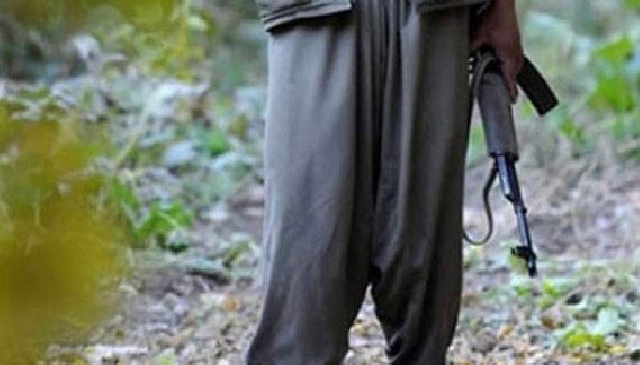 Şırnak'ta 15 PKK'lı etkisiz hale getirildi