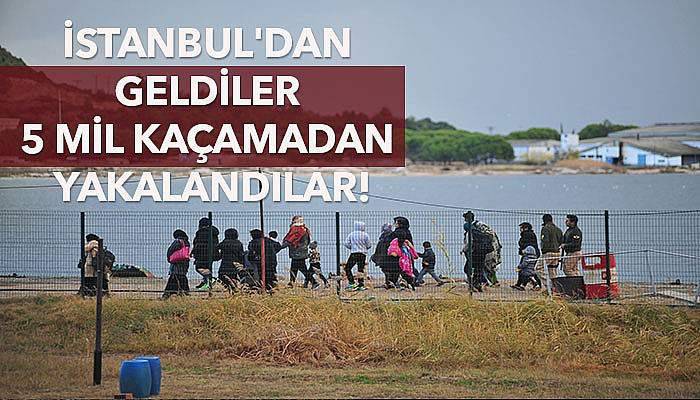 İstanbul'dan geldiler 5 mil kaçamadan yakalandılar!