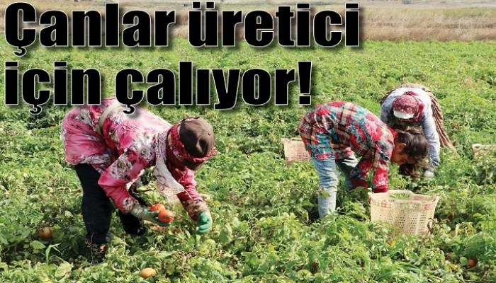 Çanlar üretici için çalıyor!