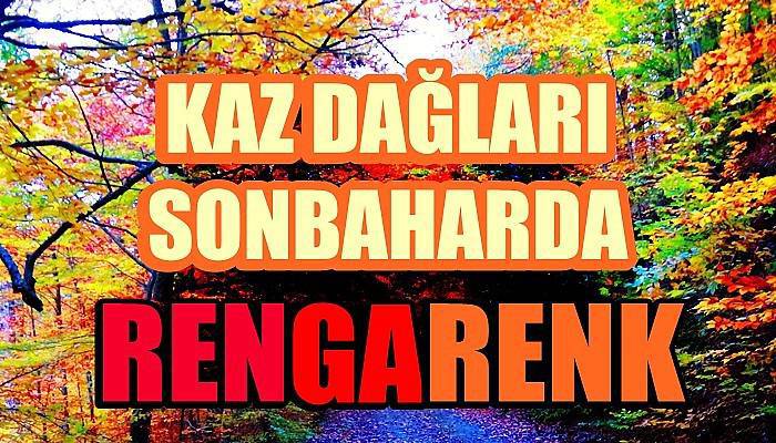 Kaz Dağları sonbaharda rengarenk (VİDEO)