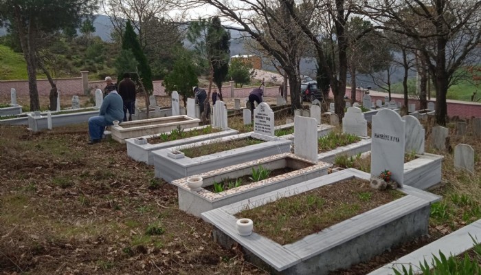 IŞIKELİ MEZARLIĞINDA AĞAÇLANDIRMA ÇALIŞMASI YAPILDI