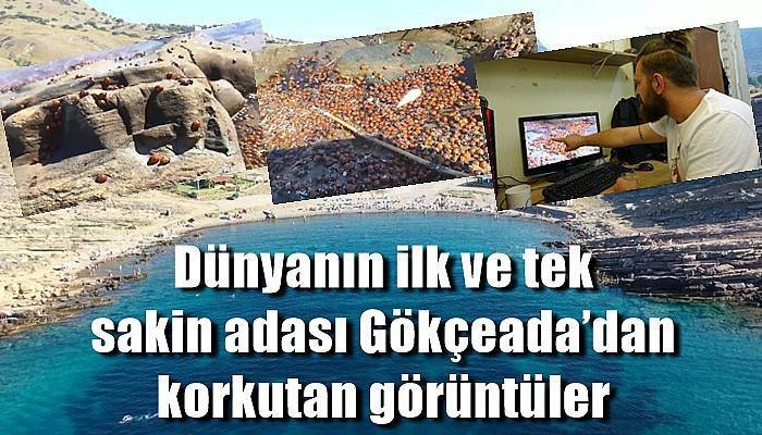 Dünyanın ilk ve tek sakin adası Gökçeada’dan korkutan görüntüler (VİDEO)