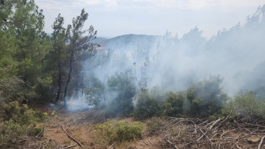 Çanakkale'de yıldırım kaynaklı 6 orman yangını