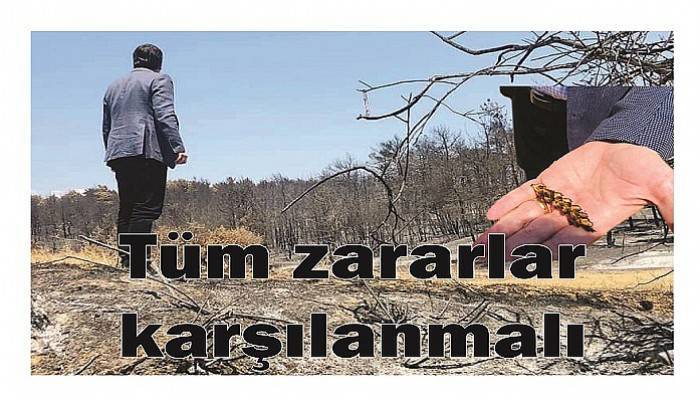 Gelibolu için 'tüm zararlar karşılanmalı'