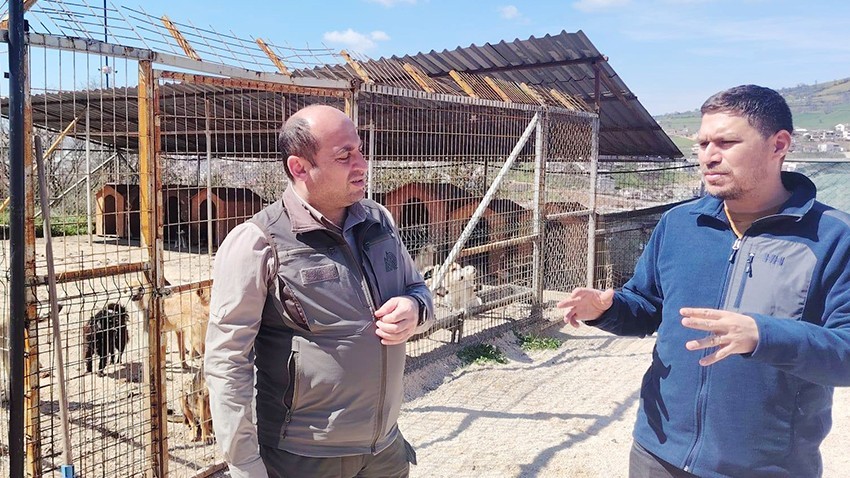 Çanakkale’de Hayvan Bakımevleri Mercek Altında
