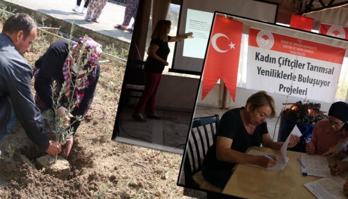 Kadın Çiftçilere Modern Zeytincilikte Yetiştirme Teknikleri Eğitimi