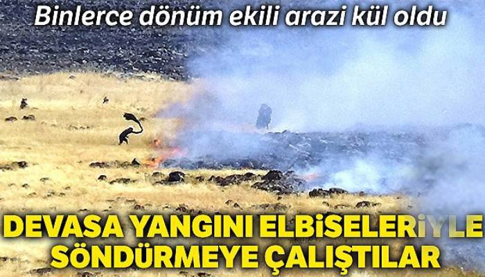 Devasa yangını elbiseleri ile söndürmeye çalıştılar