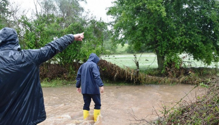 Biga'da 9 koyun yağmur sularına kapıldı