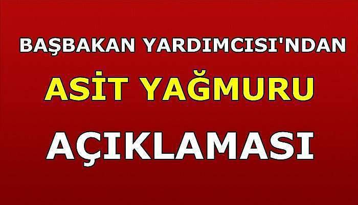 Başbakan Yardımcısı Kaynak'tan 'asit yağmuru' açıklaması