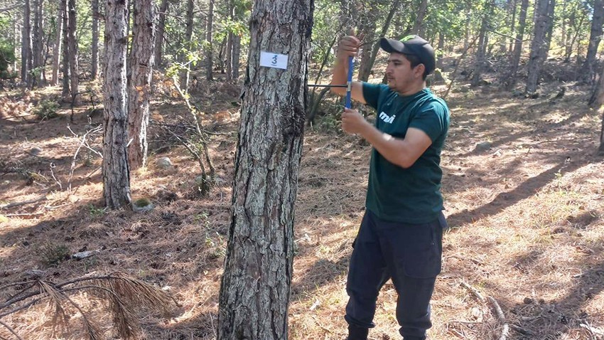 Ulusal Orman Envanteri Çalışmaları Sürüyor