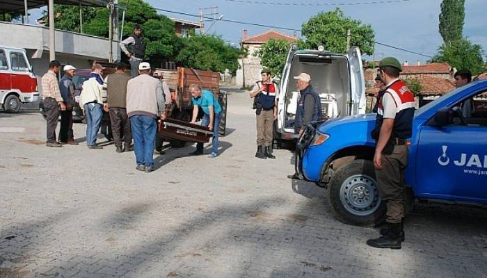 Çanakkale'de feci ölüm! Kestiği ağacın altında kaldı...