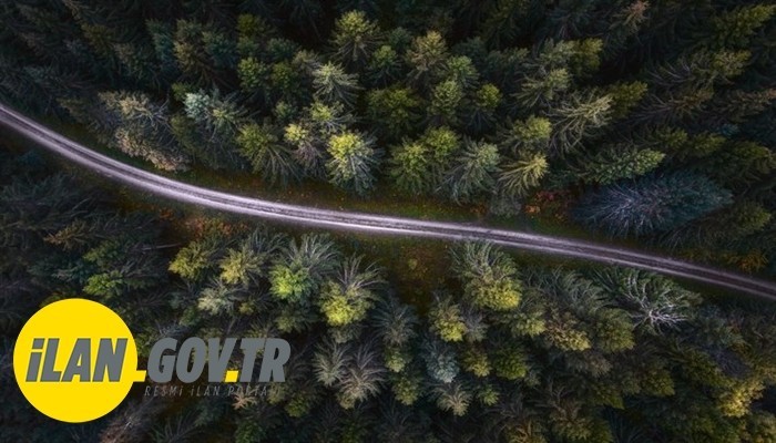 ORMAN YOLUNDA ÜST YAPI YAPTIRILACAK