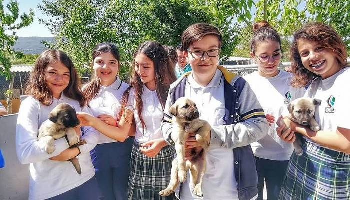 Barınak için mama bağışında bulundular