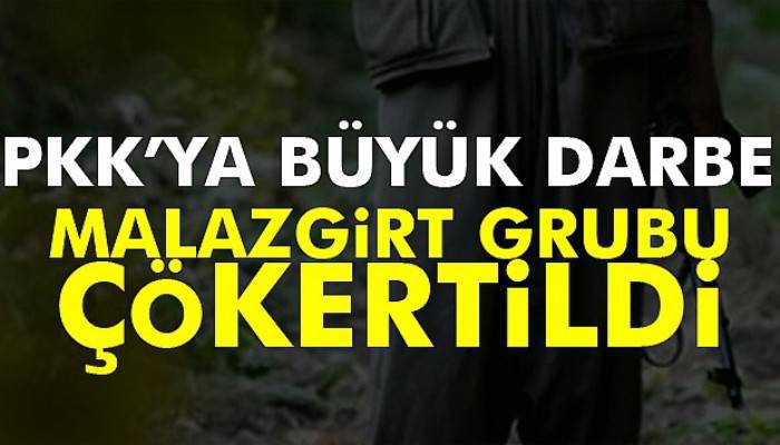 PKK'nın sözde Bulanık-Malazgirt grubu çökertildi
