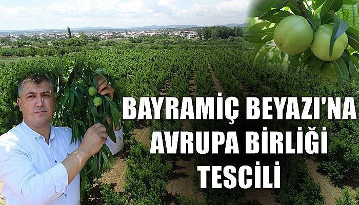 Bayramiç Beyazı'na Avrupa Birliği tescili (VİDEO)