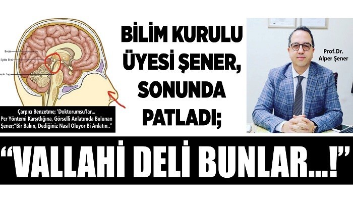 BİLİM KURULU ÜYESİ ŞENER, SONUNDA  PATLADI; 'VALLAHİ DELİ BUNLAR...!'