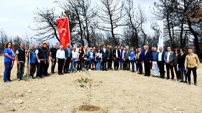 ÇOMÜ, yanan bölgeye fidan dikti (videolu)