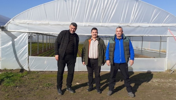 İLÇE TARIM VE ORMAN MÜDÜRÜ ATMACA, YENİ TESİS EDİLEN SERAYI ZİYARET ETTİ