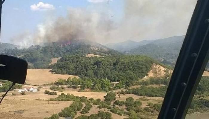 Çanakkale'de orman yangını ( VİDEO)