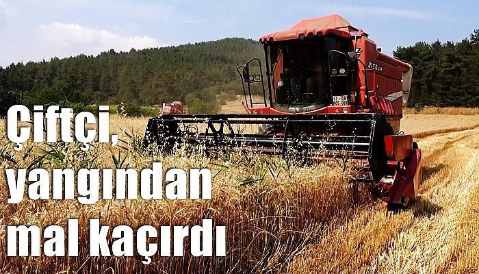 Çiftçi, yangından mal kaçırdı (VİDEO)