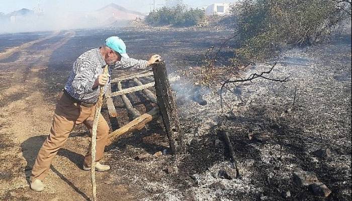 Çan’ın Dondurma Köyü’nde yangın