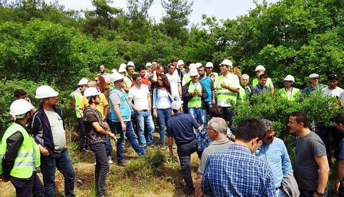 Biga'da meşe türlerinin tespiti ve planlanması eğitimi