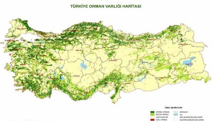 Türkiye’de ormanlar ve ağaç dağılımı
