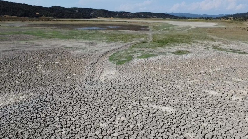 Çanakkale’nin Eceabat İlçesinde Ekolojik Felaket
