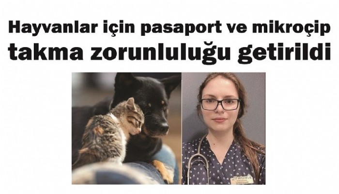 Hayvanlar için pasaport ve mikroçip takma zorunluluğu getirildi
