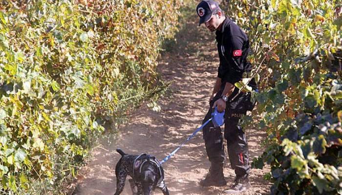 Minik Irmak’ın katiline ağırlaştırılmış müebbet istemi