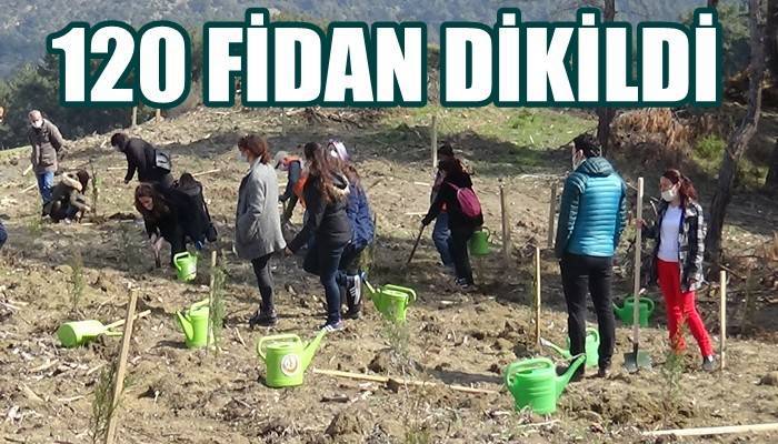 Çanakkale'de '8 Mart Dünya Kadınlar Günü'nde fidan dikildi