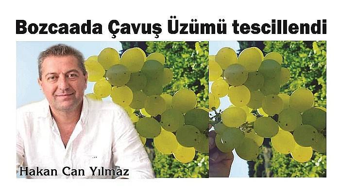 Bozcaada Çavuş Üzümü tescillendi