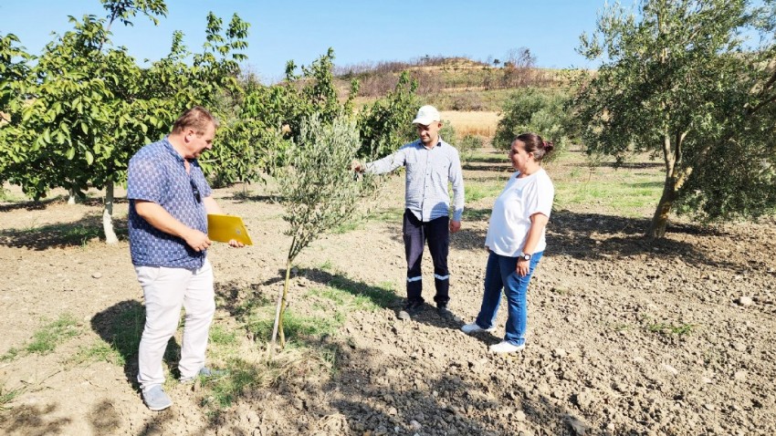Yeşil Vatan İçin Mücadele Sürüyor