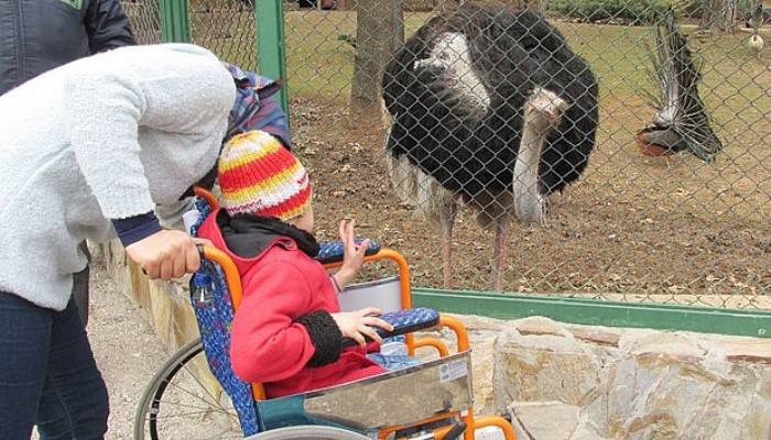  Savaş mağduru çocuklar ilk kez hayvanat bahçesi gördü